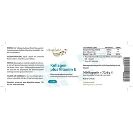 VITA-WORLD Vita World Kollagen 500 mg + Vitamin E Kapseln 100 St.