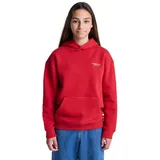 Element Hoodie Red 14