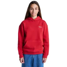 Element Hoodie Red 14