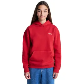 Element Hoodie Red 14