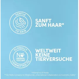 Wella Invigo Scalp Balance Shampoo 300 ml