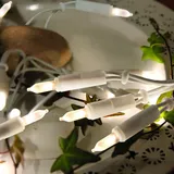 Star Trading Mini-Lichterkette LED 5 m Weiß