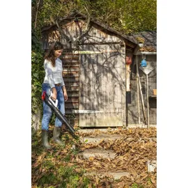 Ikra mogatec Akku Axial-Laubbläser ICB 20 inkl. 2 x 2,0 Ah + Schnellladegerät