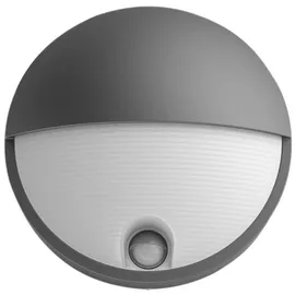 Philips LED Außenwandleuchte Capricorn