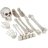Relaxdays Dekoknochen, für Halloween Deko, Außen & Innen, Knochen, Totenschädel & Skeletthände, Horror Deko, XXL,