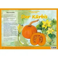 Fischer-Nagel, H Natur-Kamishibai / Der Kürbis - Natur-Kamishibai