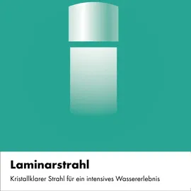 Hansgrohe Vivenis Einhebel-Bidetmischer Brushed Bronze 75200140