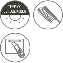 GARDINIA Plissee Concept Thermo 100 x 130 cm schwarz