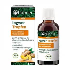 Hübner Ingwer Tropfen bio 20 ml