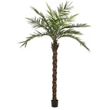 Europalms Kentia Palme deluxe, Kunstpflanze 300cm