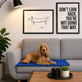 LIONTO Kühlmatte L 100 x 60 cm blau