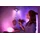 Philips Hue White & Color Ambiance E27 1100 lm 2 St.
