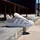Adidas Grand Court Alpha 00s Grey Two / Cloud White / Grey Two 45 1/3