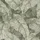 Rasch Textil Vliestapete Muster Blätter 10,05 x 0,53 m 720549 grau/grün