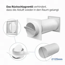 Vioks Mauerkasten 125 Rückstauklappe