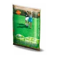 Pegasus Rasenmischung Pegasus Sport- und Spielrasen 1 kg,1 Stück