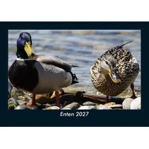Vero Kalender Enten 2027 Fotokalender DIN A5