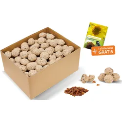 Tchibo - Frucht-Meisenknödel - beige