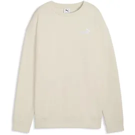 Puma Pullover Sweatshirt Alpine Snow M