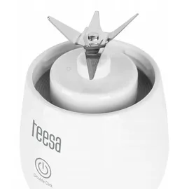 Teesa TSA3543 Akku-Mixer Standmixer