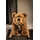 Steiff Schaukelbär Urs 70 cm