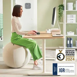 Leitz Sitzball Grau 65 cm