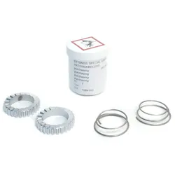 DT SWISS Service Kit Zahnscheiben mit 18 Zähnen inkl. Federn & Fett f