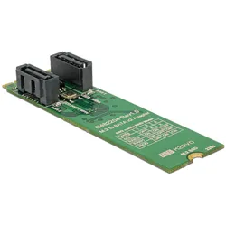 Delock Speichercontroller (RAID) - 2 Sender/Kanal