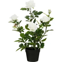 Mica decorations Kunstpflanze Rose im Topf creme Ø 35