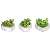 Creativ green Künstliche Zimmerpflanze »Sukkulentenarrangement«, in Zementschale, 3er Set, grün
