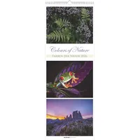 Neumann Colours of Nature - Triplets 2026 - Streifenkalender
