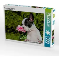 Calvendo Französische Bulldogge (Puzzle)