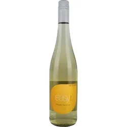 Easy to drink Grüner Veltliner trocken Weingut Setzer 2022