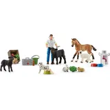 Schleich Adventskalender Farm World 2022 (98643)