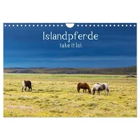 Calvendo Islandpferde take it Isi (Wandkalender 2026 DIN A4