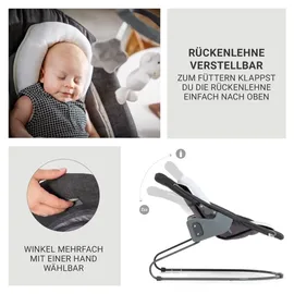 hauck Beta Plus Dark Grey 5-tlg. Newborn Set Deluxe (Treppenhochstuhl)