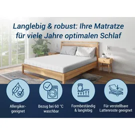 Betten-ABC TriFlex Hybrid 140 x 200 cm mittelfest