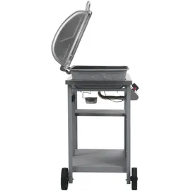 vidaXL Gasgrill mit Beistelltisch auf 3 Ebenen silber 47393