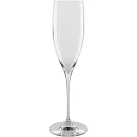 LEONARDO Sektglas Poesia Set, spülmaschinengeeignetes Champagnerglas, Höhe 25 cm, 250 ml, grau,