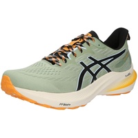 Asics GT-2000 12 TR (1011B775)