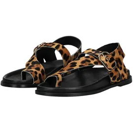 Inuovo Zehentrenner Leopard 37