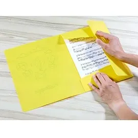Pagna Sammelmappe A4 Gelb