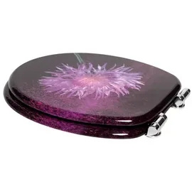 Sanilo WC-Sitz Purple Dust mit Absenkautomatik