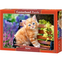 Castorland Ginger Kitten, 500 Teile