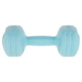 REBEL Kurzhanteln 2x2 kg silber
