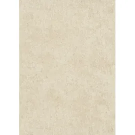 Erismann Vliestapete Play of,ight Savanna Beige FSC®
