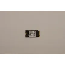 Lenovo SSDASM 256 GB M.2