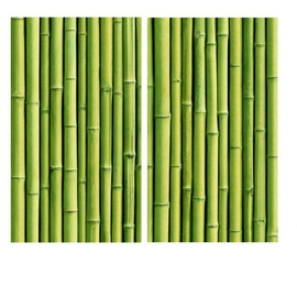 wall-art Herd-Abdeckplatte »Küche Herdabdeckplatte Bambus«, (Set, 2 tlg.), moderne Schutzplatte, grün
