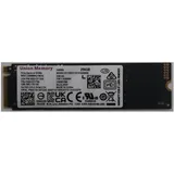 Lenovo 256 GB M.2