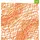 Koziol Raumteiler 4er-Set 27 x 27 cm Orange